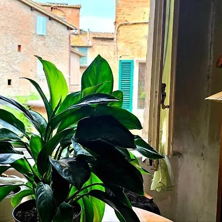 Maison d'hôtes Luna Lilla *