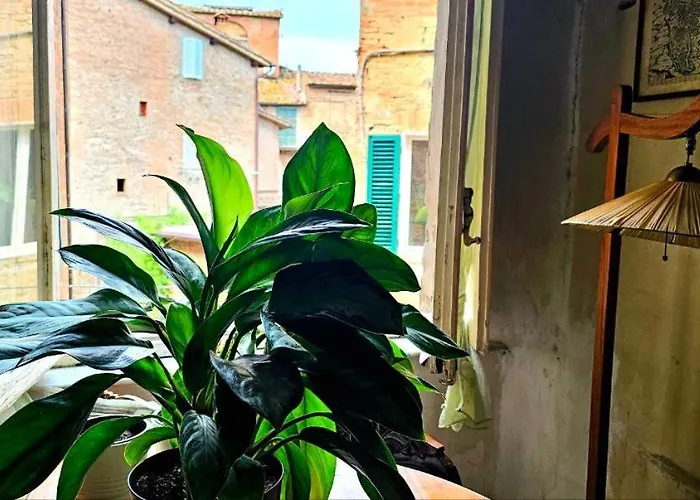 Гостьовий будинок Luna Lilla *